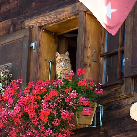 Chalet Xenia Chalé Crans-Montana